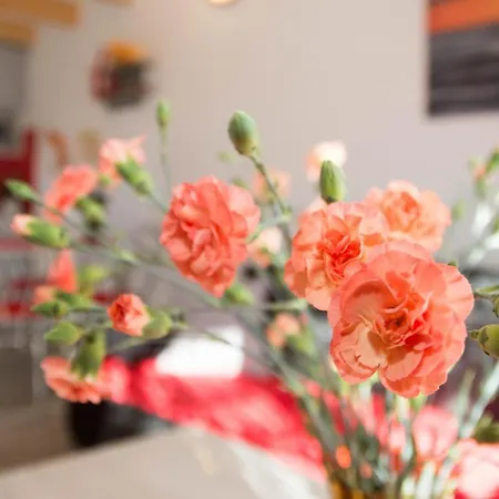 Ustka Letniskowy Zachod Slonca Przewloka (Pomerania)