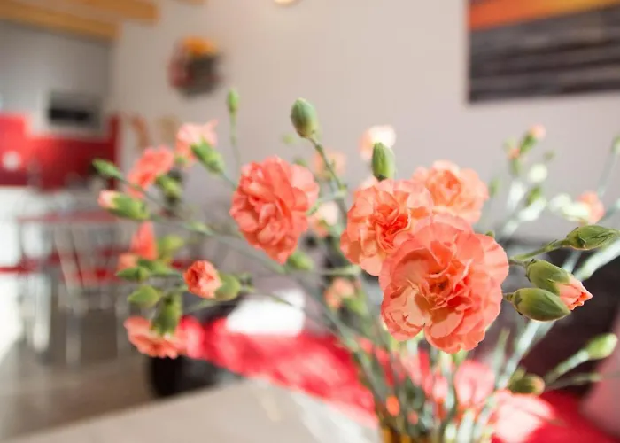 Ustka Letniskowy Zachod Slonca Przewloka (Pomerania)